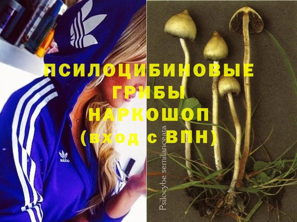 героин Белокуриха