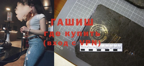 соль ск Ельня