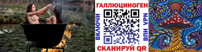 Галлюциногенные грибы Cubensis  Болотное 